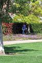 IMG_1674web